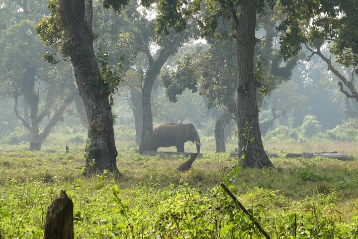 Himalayan Mountain Panoramas: 13-Day Private Trek, Pokhara & Chitwan Safari photo 4