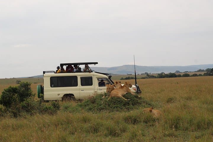 5-Day Private Kenya Safari: Amboseli, Lake Nakuru & Maasai Mara Game Drives