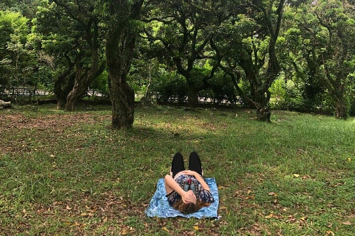 Guided Forest Bathing Nature Immersion in Hong Kong — Mindful Outdoor Experience photo 2
