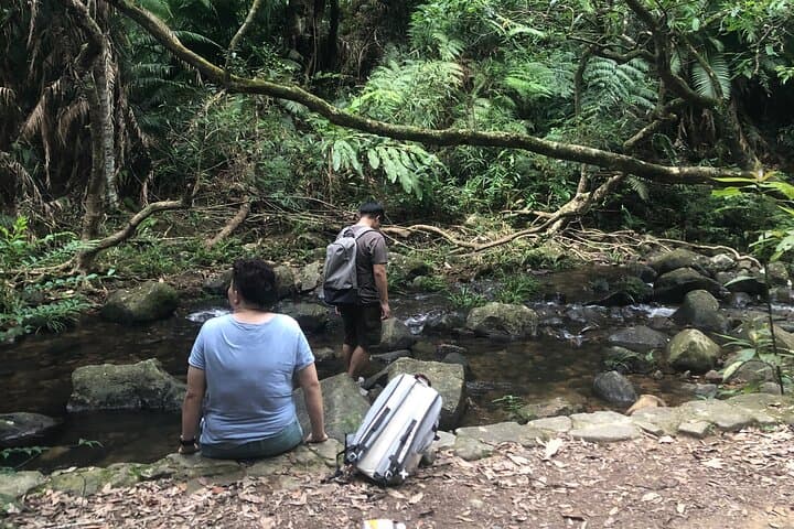 Guided Forest Bathing Nature Immersion in Hong Kong — Mindful Outdoor Experience photo 3
