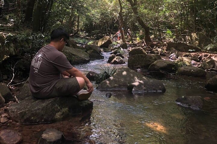 Guided Forest Bathing Nature Immersion in Hong Kong — Mindful Outdoor Experience photo 6
