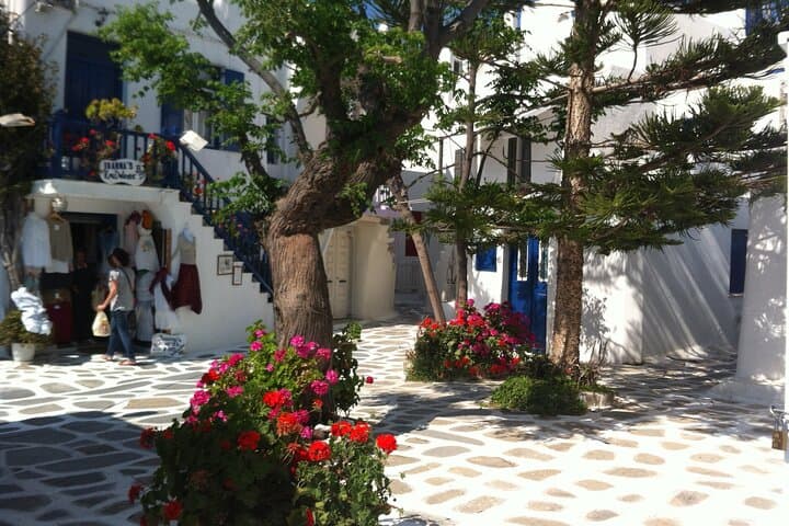 Mykonos Half-Day Private Tour: Town Wonders & Agrari Beach Break photo 4