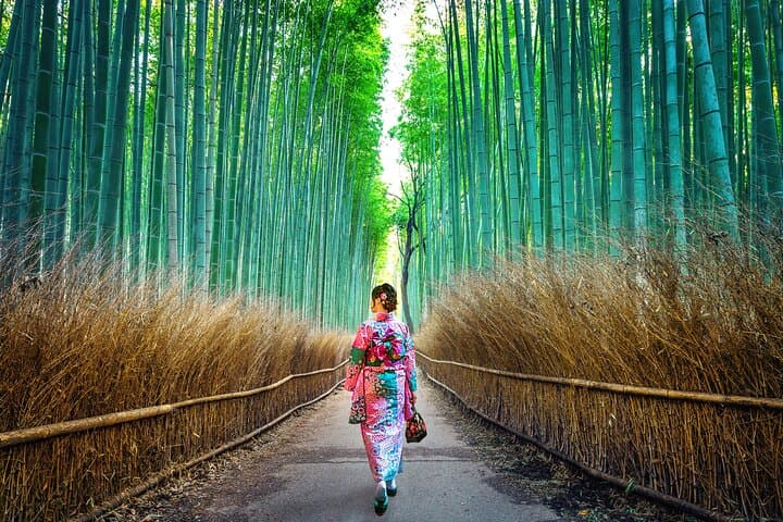 Tokyo to Kyoto in a Day: Private Shinkansen Tour of Kyoto’s Highlights photo 2
