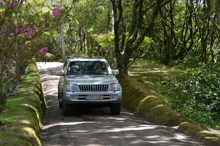 Half-Day 4x4 Sete Cidades Crater Tour from Ponta Delgada photo 3