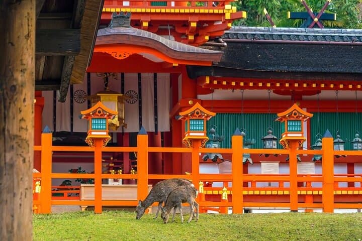 Three-Day Private Kyoto, Arashiyama & Nara Cultural Tour