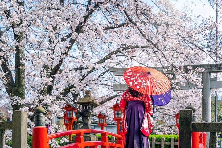 Three-Day Private Kyoto, Arashiyama & Nara Cultural Tour photo 6