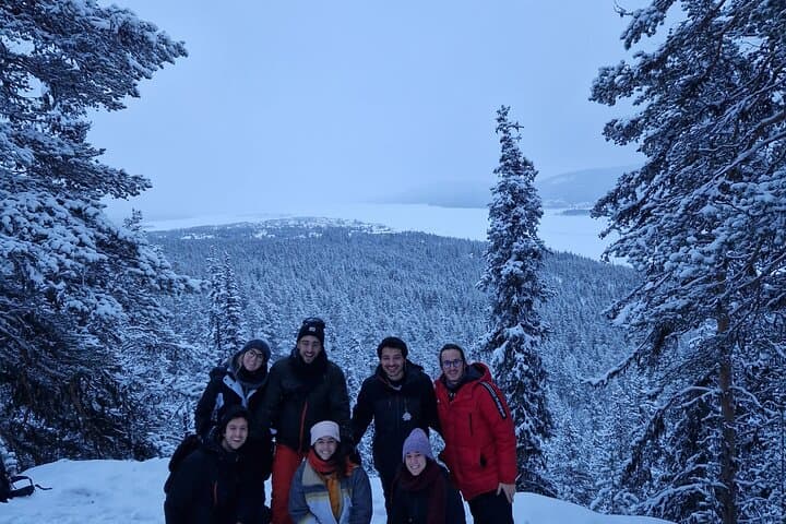 Snowshoe the Kiruna Treeline: Guided Half-Day Arctic Hike photo 5