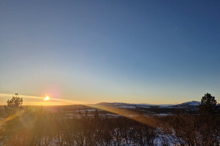 Snowshoe the Kiruna Treeline: Guided Half-Day Arctic Hike photo 6