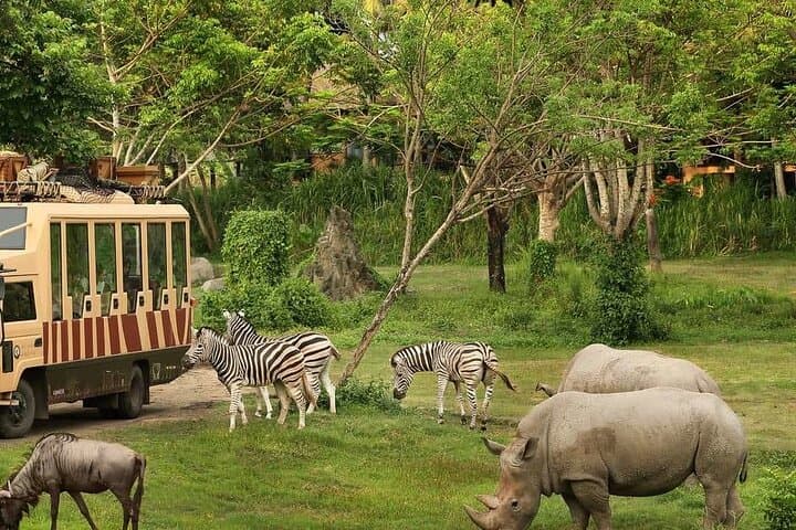Explore Dubai Safari Park: Guided Safari Journey & Wildlife Encounters photo 6