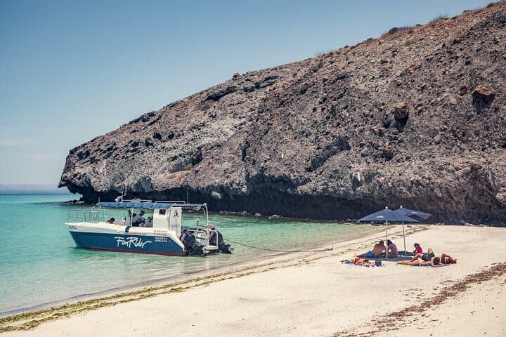 Balandra Bay Snorkeling Adventure from La Paz — Swim with Sea Lions & Explore a Protected Bay photo 3