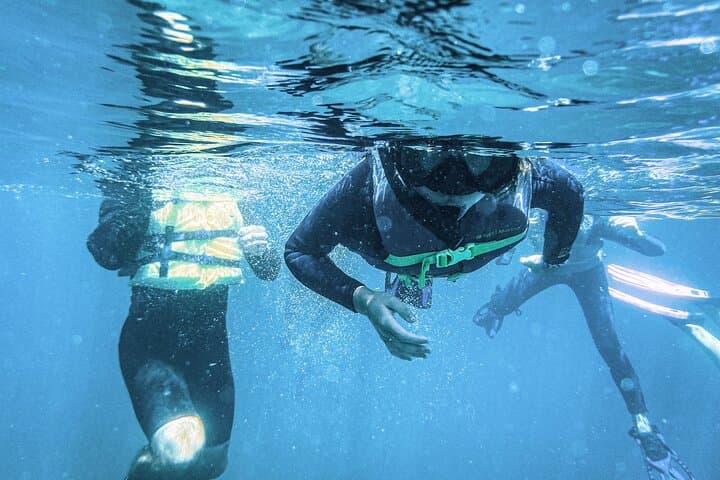 Balandra Bay Snorkeling Adventure from La Paz — Swim with Sea Lions & Explore a Protected Bay photo 6