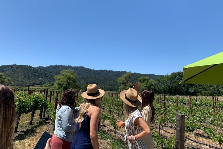 Private Napa Wine Tour by SUV — 6-Hour Luxury Tasting for Up to 6 photo 1
