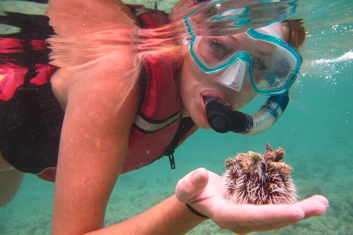 St. Thomas Mangrove Lagoon Kayak & Snorkel: A Shore Excursion Guide photo 4