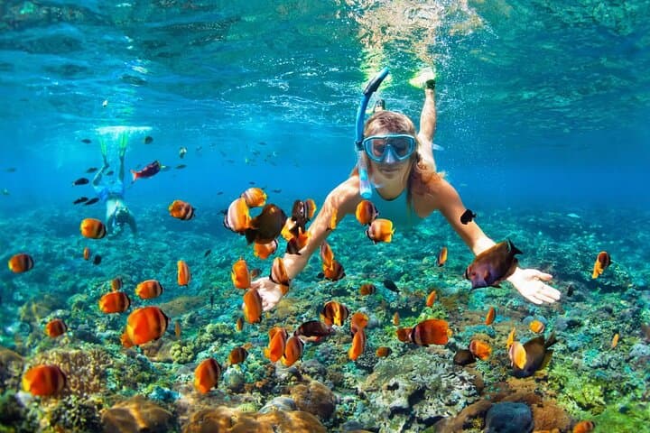 Punta Cana Private Catamaran Snorkel — Swim with Sharks & Stingrays photo 6