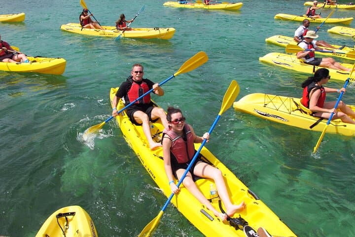 Mangrove Lagoon Kayak, Hike & Snorkel Adventure (Cas Cay) — St. Thomas Day Trip photo 4