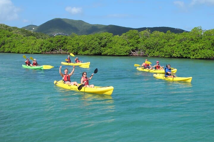 St. Thomas Mangrove Lagoon Kayak & Snorkel: A Shore Excursion Guide photo 3