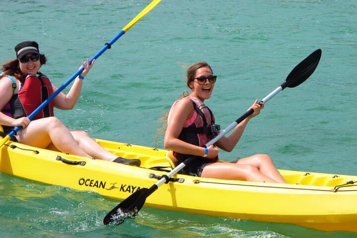 St. Thomas Mangrove Lagoon Kayak & Snorkel Tour — Kayak, Snorkel & Wildlife in the USVI photo 6