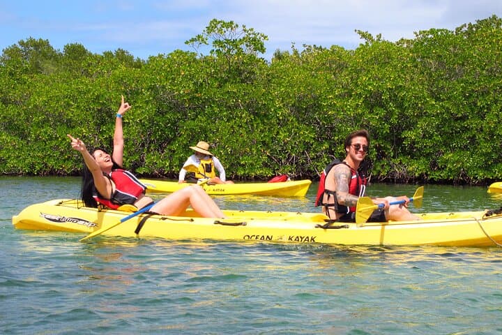 St. Thomas Mangrove Lagoon Kayak & Snorkel Tour — Kayak, Snorkel & Wildlife in the USVI