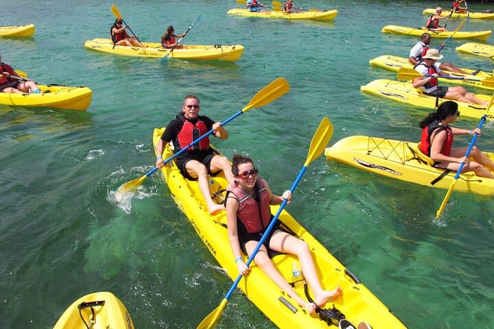 St. Thomas Mangrove Lagoon Kayak & Snorkel: A Shore Excursion Guide