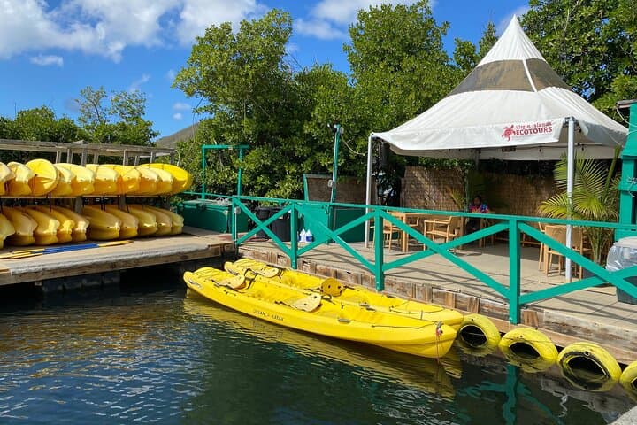 Self-Guided Kayak in the Mangrove Lagoon, St. Thomas — Paddle to Bird Island and the Blow-Hole photo 2