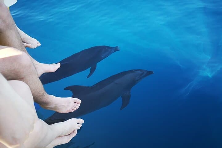 Half-Day Dolphin Watching and Snorkeling at Samara Beach, Costa Rica photo 5