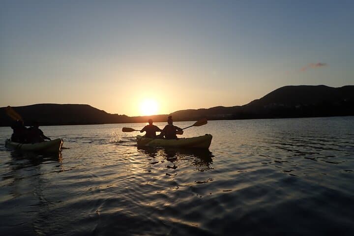 Sunset Kayak Tour in the Mangrove Lagoon, St Thomas — Bird Island Golden Hour Paddle photo 6