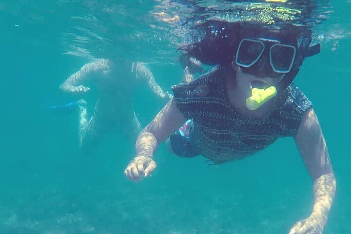 Half-Day Dolphin Watching and Snorkeling at Samara Beach, Costa Rica photo 6