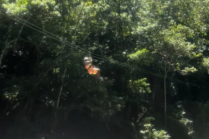 South Coast Choice: YS Falls, Appleton Rum, Black River & Pelican Bar Private Tour photo 5
