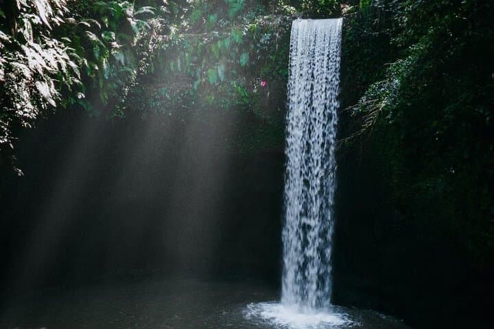 Chasing Ubud’s Hidden Waterfalls: Tibumana, Tukad Cepung, Rice Paddies & the Bali Swing