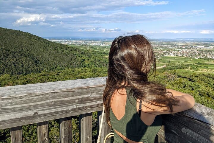 Vienna Woods Wine Tour: Hike, Tastings & Thermal Region Vineyards photo 3