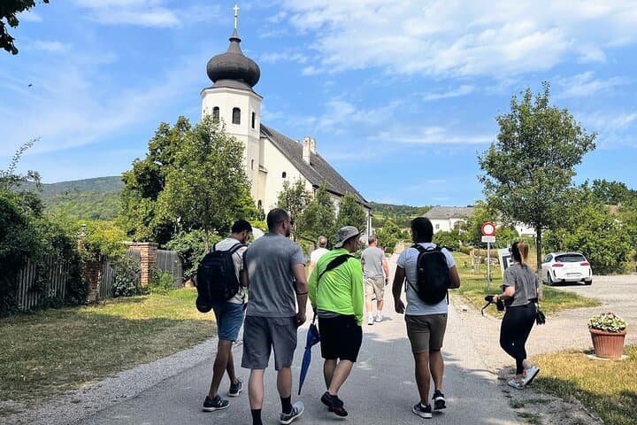 Vienna Woods Wine Tour: Hike, Tastings & Thermal Region Vineyards photo 2