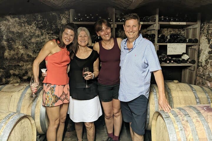 Vienna Woods Wine Tour: Hike, Tastings & Thermal Region Vineyards photo 1