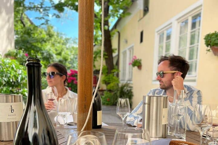 Private Vienna Woods Wine Tour: Hike, History & Thermal Region Tastings