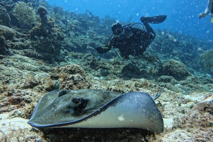 Private Beginner Scuba Diving in San Andrés Islands: Guided 6–12m Intro