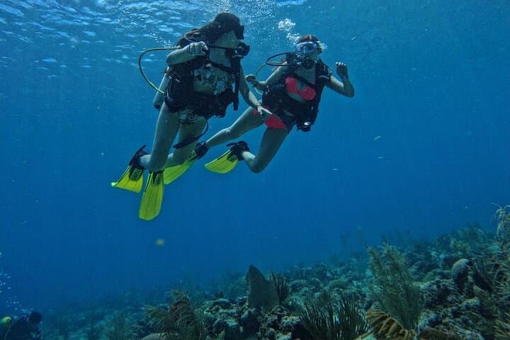 Private Beginner Scuba Diving in San Andrés Islands: Guided 6–12m Intro photo 2