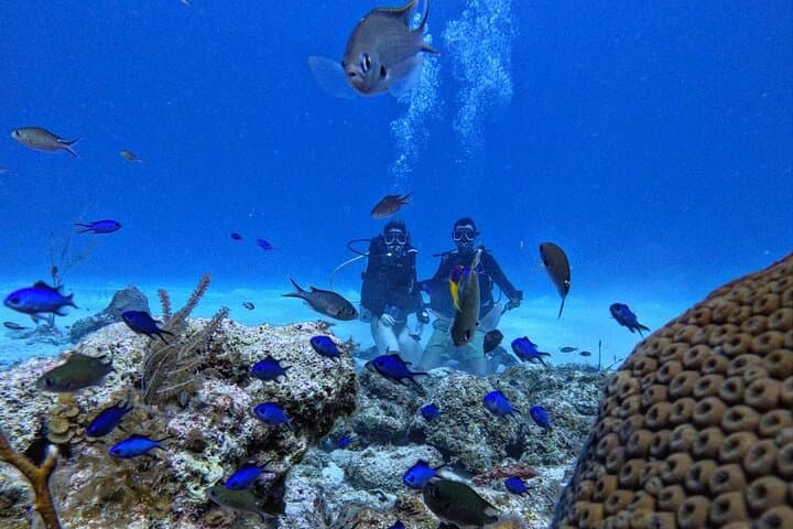 Private Beginner Scuba Diving in San Andrés Islands: Guided 6–12m Intro photo 4