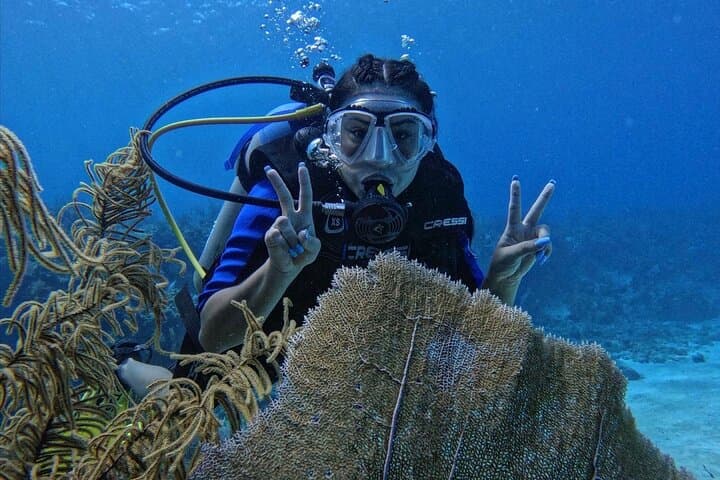Private Beginner Scuba Diving in San Andrés Islands: Guided 6–12m Intro photo 5