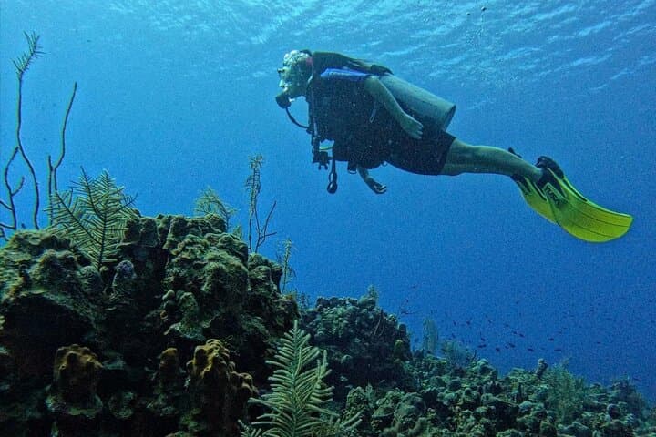 Private Beginner Scuba Diving in San Andrés Islands: Guided 6–12m Intro photo 6