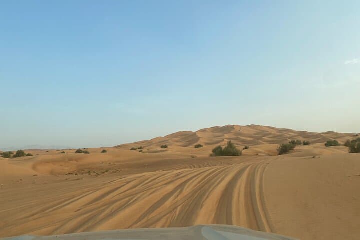 Dubai Red Dune Safari: Private 4x4, Camel Ride & BBQ Under the Desert Sky photo 4
