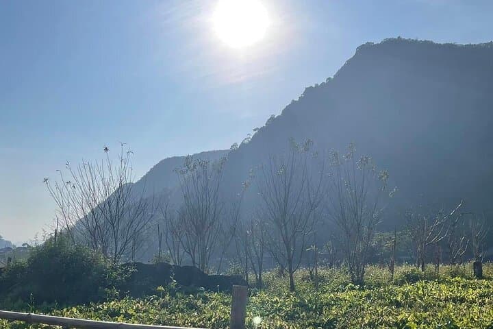 Pu Luong & Ninh Binh: 3–4 Day Trek, Bamboo Rafting and Trang An Boat Trip photo 4