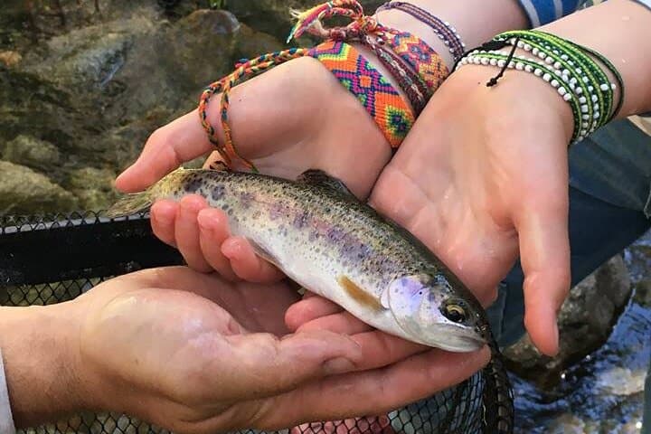 Half-Day Family Fly Fishing in Yosemite: Bank-Style Czech Nymphing on the Merced & Tuolumne