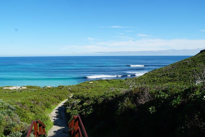 Learn to Surf Margaret River: 2-Hour Lesson with Local Coaches photo 2