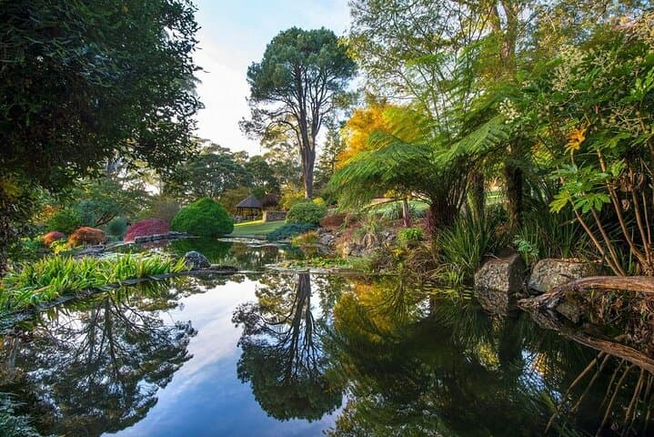 Blue Mountains Private Autumn Day Tour: Three Sisters, Windyridge & Lennox Bridge photo 2