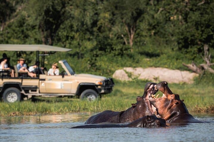 Chobe Game Drive Safari — Kasane Riverfront Elephants & Birdlife photo 4