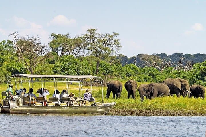 Chobe Day Trip From Livingstone — Game Drive and Chobe River Cruise photo 2