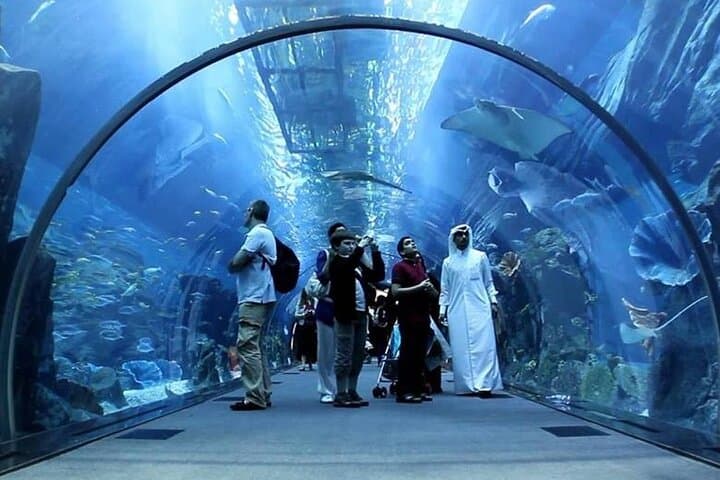 Explore Dubai Mall Aquarium & Underwater Zoo: Tickets, Tips, and What to Expect photo 2