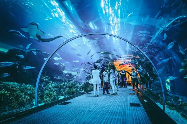 Explore Dubai Mall Aquarium & Underwater Zoo: Tickets, Tips, and What to Expect photo 3