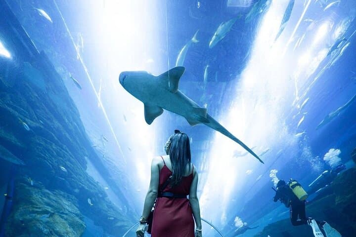 Explore Dubai Mall Aquarium & Underwater Zoo: Tickets, Tips, and What to Expect photo 5