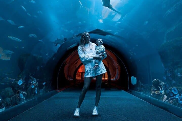 Explore Dubai Mall Aquarium & Underwater Zoo: Tickets, Tips, and What to Expect photo 6