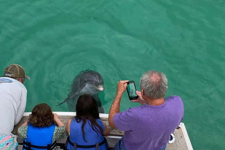 Private 2-Hour Dolphin Sightseeing Tour in Panama City Beach photo 4